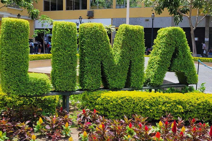 green bush carved in LIMA lettering
