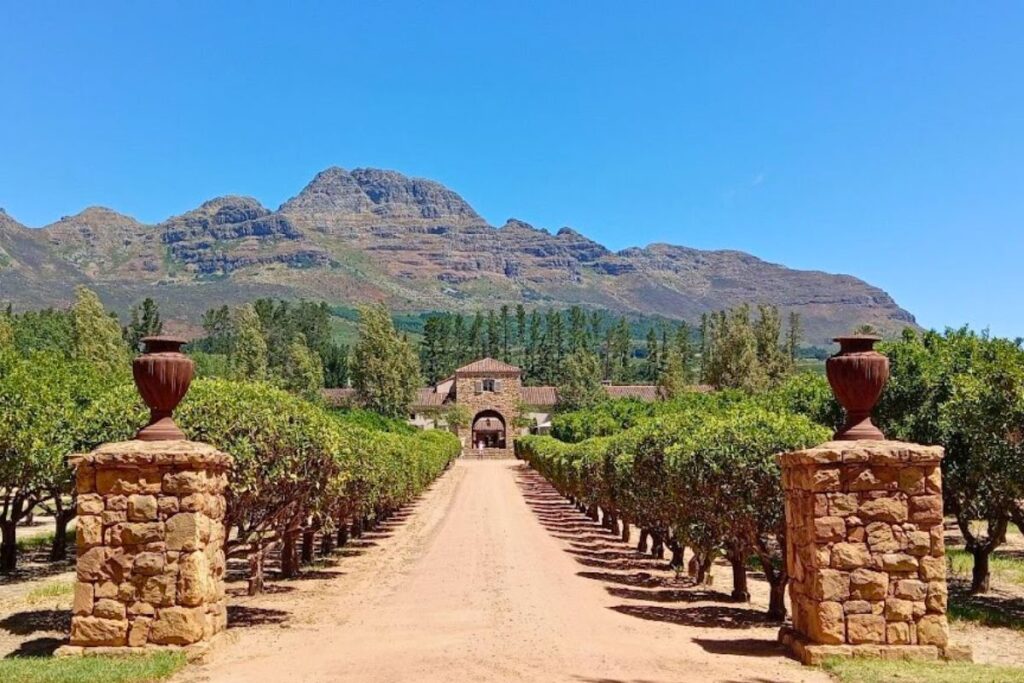 Waterford Estate in Stellenbosch