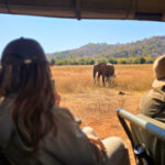 [Watch] On Safari in Zimbabwe With African Bush Camps, a Two-Part Video Series