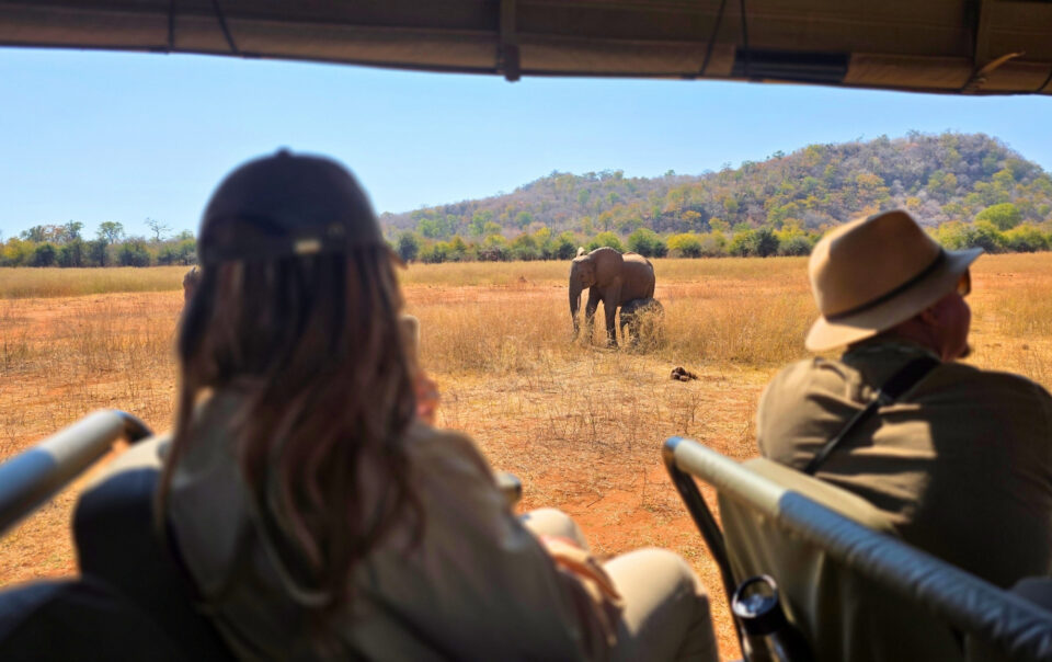 safari guests on game drive with African Bush Camps in Zimbabwe